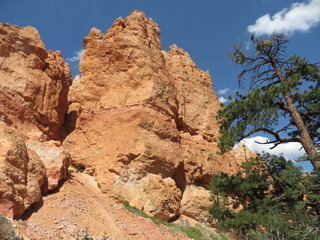 Fototapeta premium USA Landscape Bryce Canyon