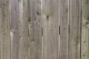 Fototapeta premium Wood plank fence close up. Detailed background photo texture. Wooden wall abstract background.