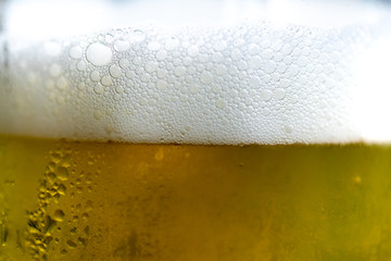 Beverage Beer Bubble