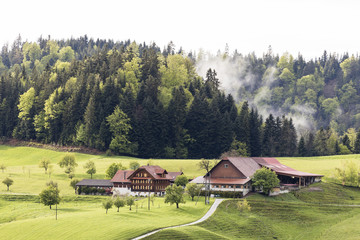 Fototapeta na wymiar Foggy spring day with a farm in Entlebuch in the canton of Lucerne in central Switzerland