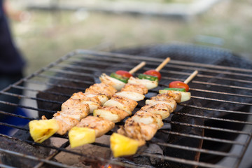  barbecue and roast pork with  vegetable , slice papaya , green pepper, onion, on grille charcoal stove . thai street food