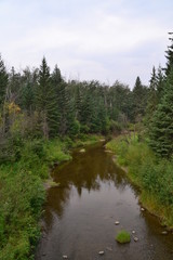 Fototapeta na wymiar Creek at Whitemud Park in Edmonton, AB