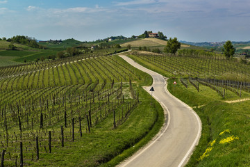 Fototapeta na wymiar Road that passes through the green hills with vineyards and trees, on the bottom there is a house