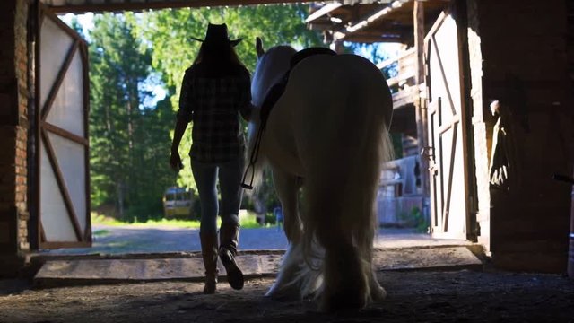 The girl takes the horse out of the stall. Frame from the back.