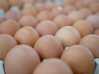 Fresh chicken eggs on trays for sale at a supermarket ready to be picked up by a customer