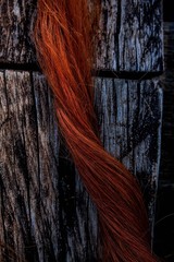 Ginger wick