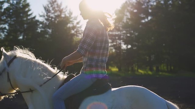 Young woman riding horse during a summer sunset. Slow Motion