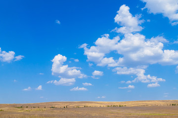 Rural landscape with fields and meadows after harvest / Yellow fields and meadows on background of blue sky with white clouds