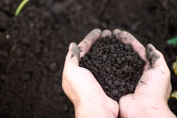 Soil, cultivated dirt.
