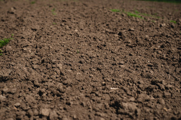 Soil, cultivated dirt.