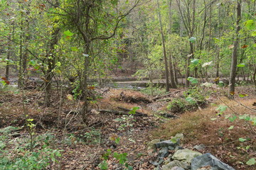 Patapsco Valley State Park