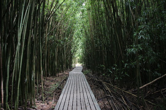 Kapahulu o&acute;he o Gulch, seven secred pools Maui