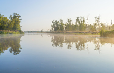 Fototapeta premium Horses in a field along a misty lake at sunrise in summer