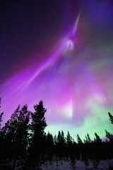 Northern Lights (Aurora Borealis)