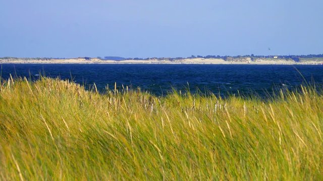 Sylt D&uuml;nen Landschaft in H&ouml;rnum mit Blick auf Amrum