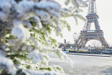 Christmas tree covered with snow near Eiffel tower