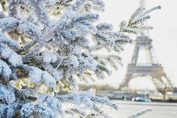 Christmas tree covered with snow near Eiffel tower