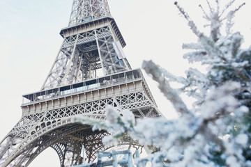 Christmas tree covered with snow near Eiffel tower