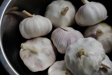 garlic