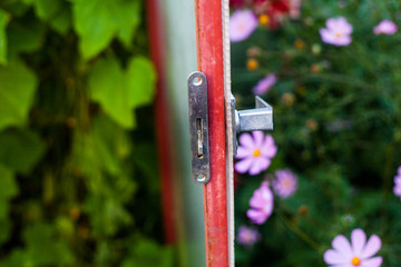 the lock from the door of the greenhouse