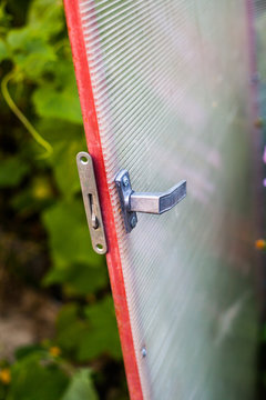 the lock from the door of the greenhouse