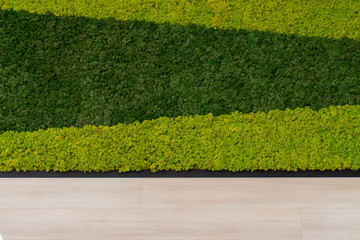 Layout of two green colors artifical moss or grass and light wooden wall.