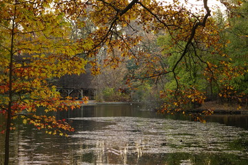 Prospect Park in Summer