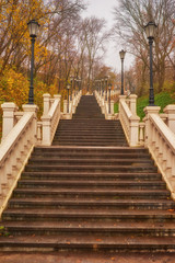 A winding staircase filled with fallen orange leaves, surrounded by yellow trees.