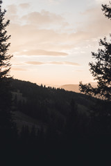 Landscape view of Vail Mountain framed between two trees during sunset. 