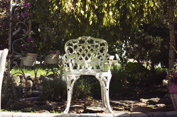 a chair in the garden