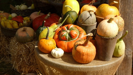 Decorative pumpkin on table