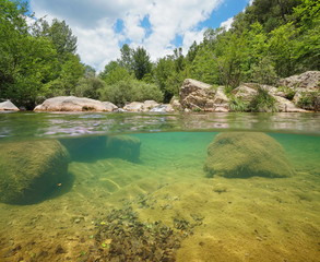 Wild river with green vegetation and rocks over and underwater, split view above and below water...