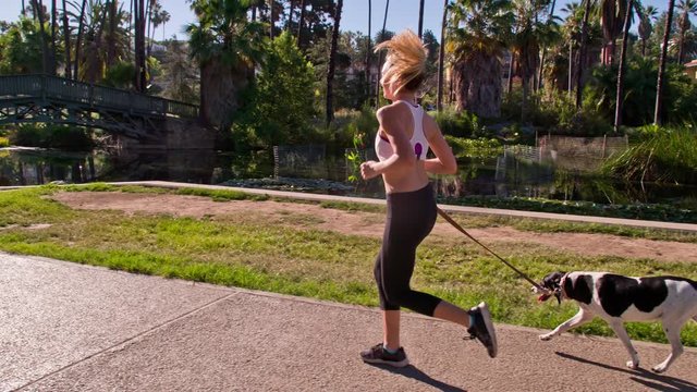 Attractive woman jogging with her dog in the park.