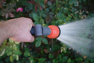 Watering garden in summer.