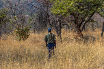 Park scout armed with AK-47 as an anti poaching measure to ensure wildlife safety, Matopos, Zimbabwe
