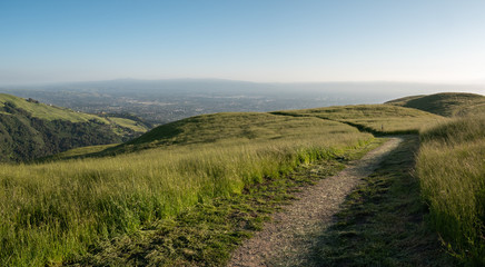 Walking Wide Green Trails with Silicon Valley in the Background