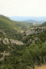 Fototapeta na wymiar Landschaft in der Provence