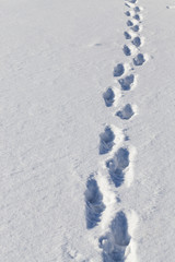 traces of the past person