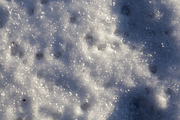 Obraz premium Winter time of the year, photo