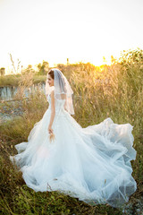 Fototapeta na wymiar Attractive young bride wear wedding dress and white veil, stand alone in the grass field with rim light from the sun. bride in the Meadow concept. image for background, copy space, objects and fashion