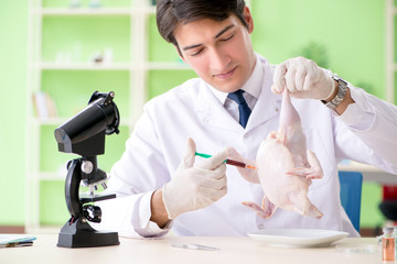 Lab assistant testing GMO chicken