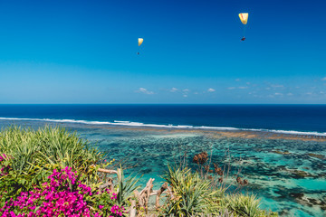 Tropical shore and blue ocean with paraglider in tropical island. Pink flowers and palms at shoreline