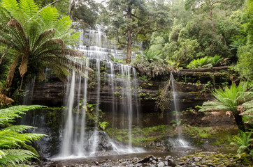 Russell Falls lies within Tasmania, Australia. It is situated in lush, green rainforest. Long exposure with moss covered rocks in the foreground. - obrazy, fototapety, plakaty