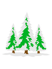 3 bäume weiß grün weihnachtsbaum weihnachten nikolaus winter geschenke tannenbaum nadelbaum baum kalt schnee schmuck clipart