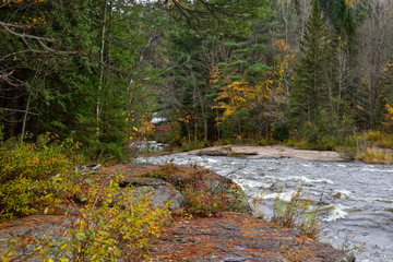 Rapids from a waterfall in the middle of the forest in autumn