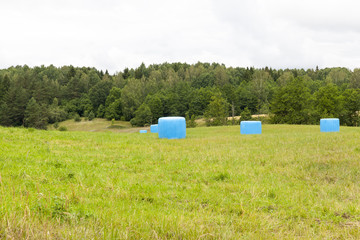 dry straw