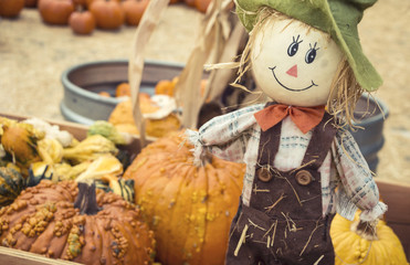 Little scarecrow, scenery for halloween