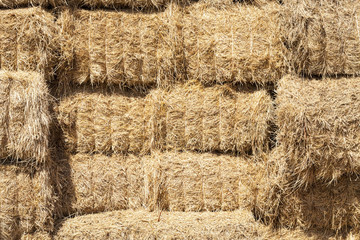 Straw stacks