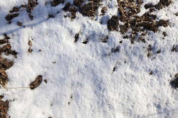 land covered with snow close up