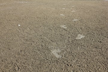 Footprint on the beach sand.